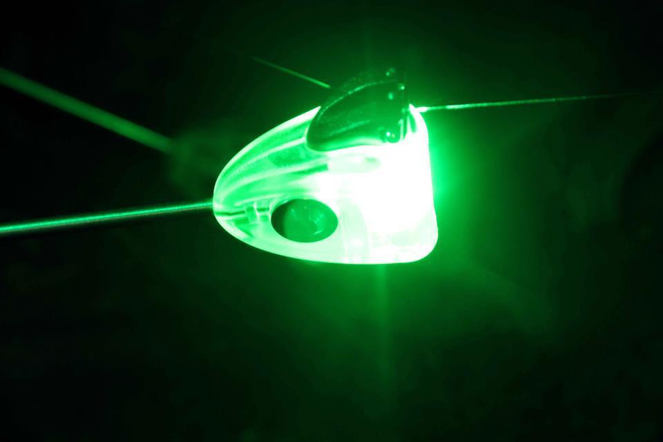 All4carp - 313367176020259212954283692651n.jpg